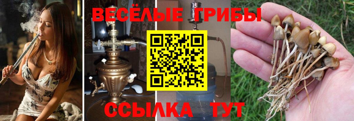 закладки  Галлюциногенные грибы Psilocybe  Вход с VPN  Егорьевск 