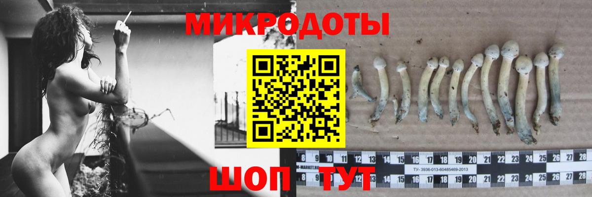 Псилоцибиновые грибы мухоморы Егорьевск